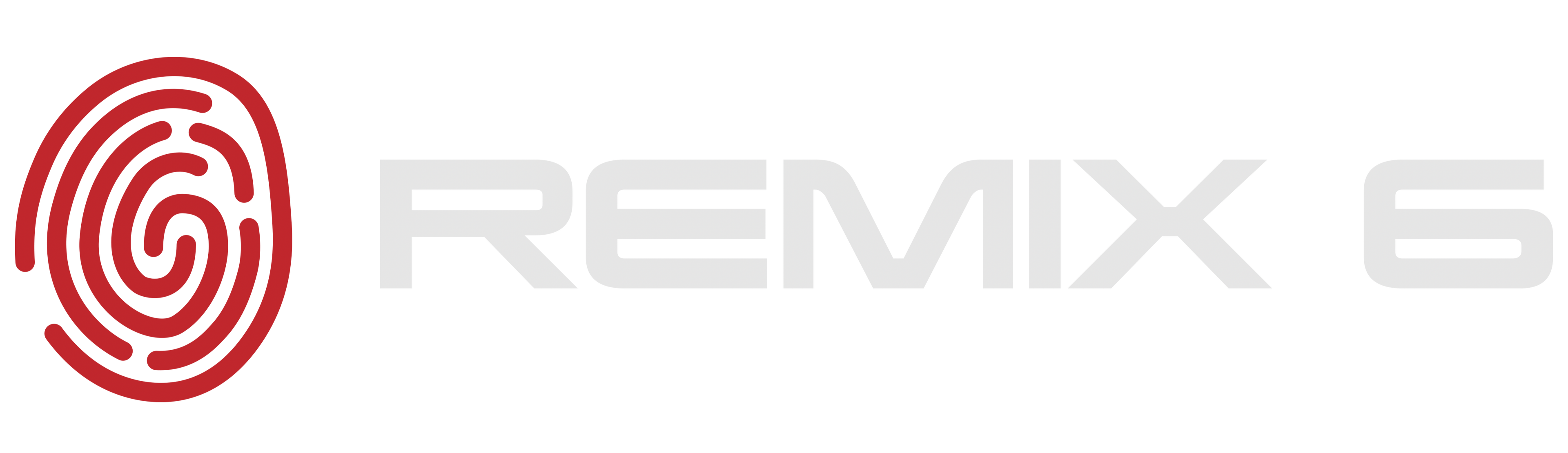 Remix6